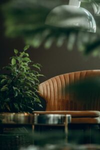 Tan couch in an office space