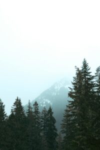 Colorado mountains in the mist